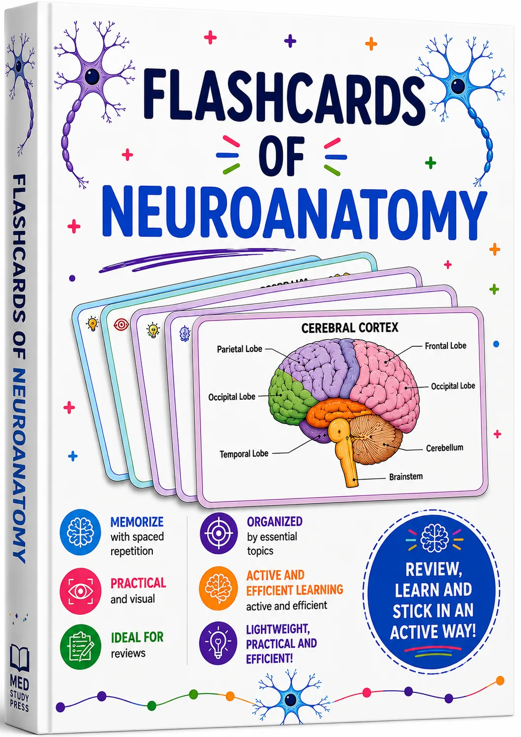 5-MINUTE REVISION FLASHCARDS