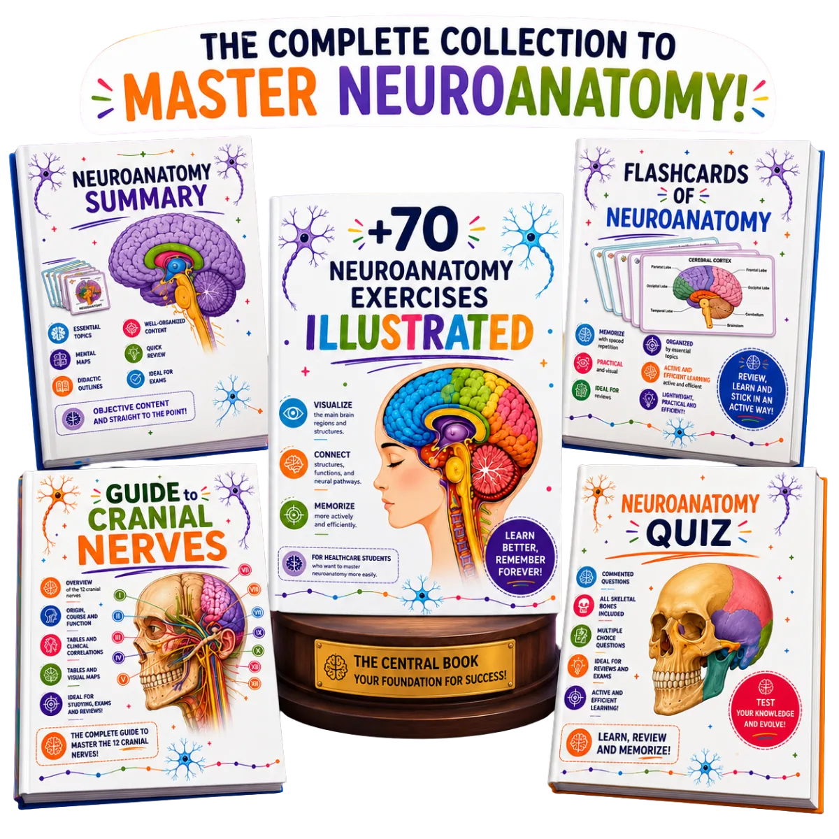 Complete Neuroanatomy Collection